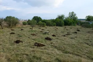 V srpnu 2020 začala vznikat komunitní zahrada Remízek