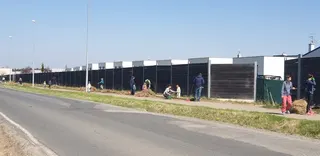 Témata z rubriky V řešení – Výsadba kolem protihlukové stěny 23.4.2022
